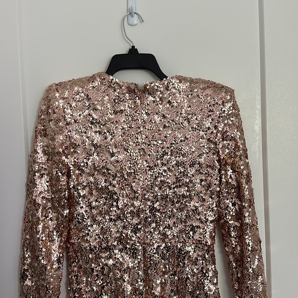 Rose Gold Dress - Picture 3 of 6